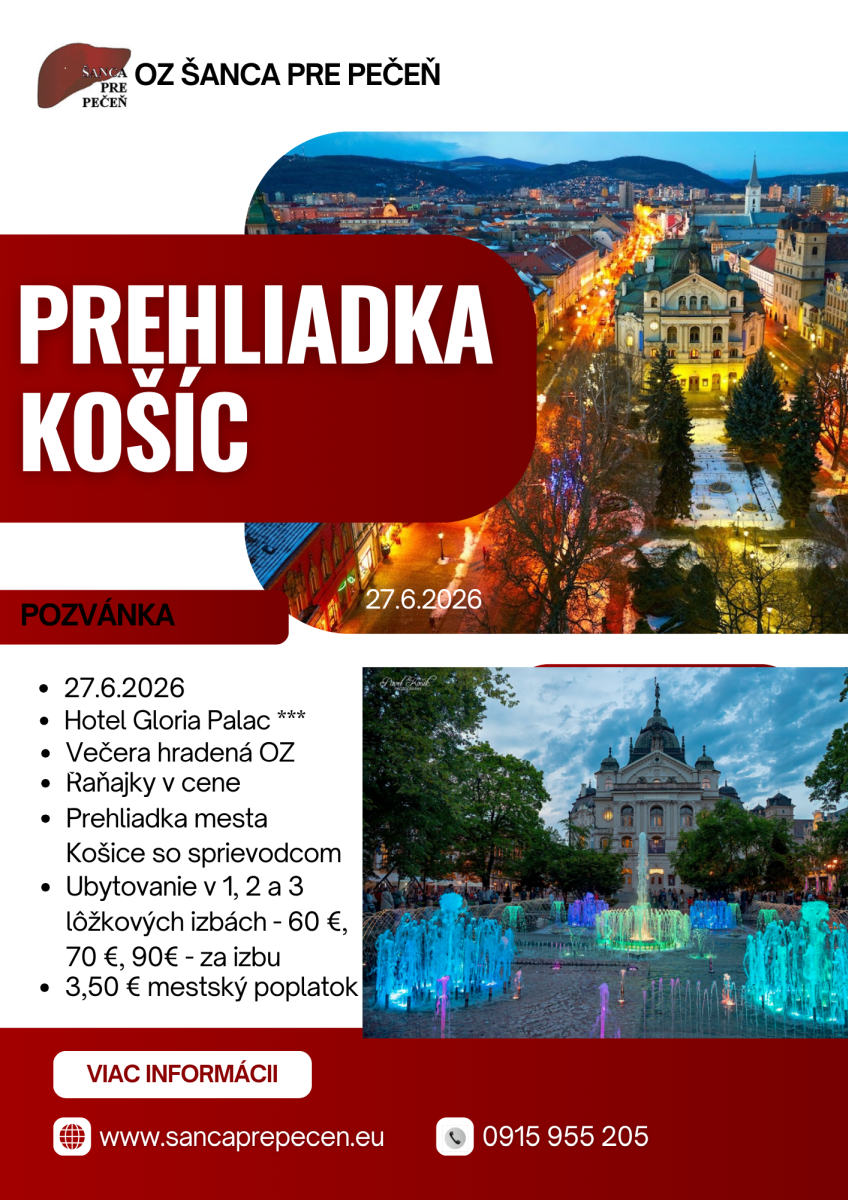 Prehliadka Košíc