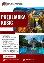 Prehliadka Košíc